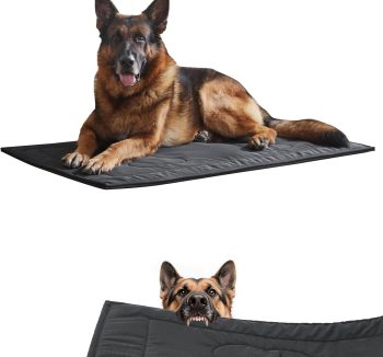dog bed durable