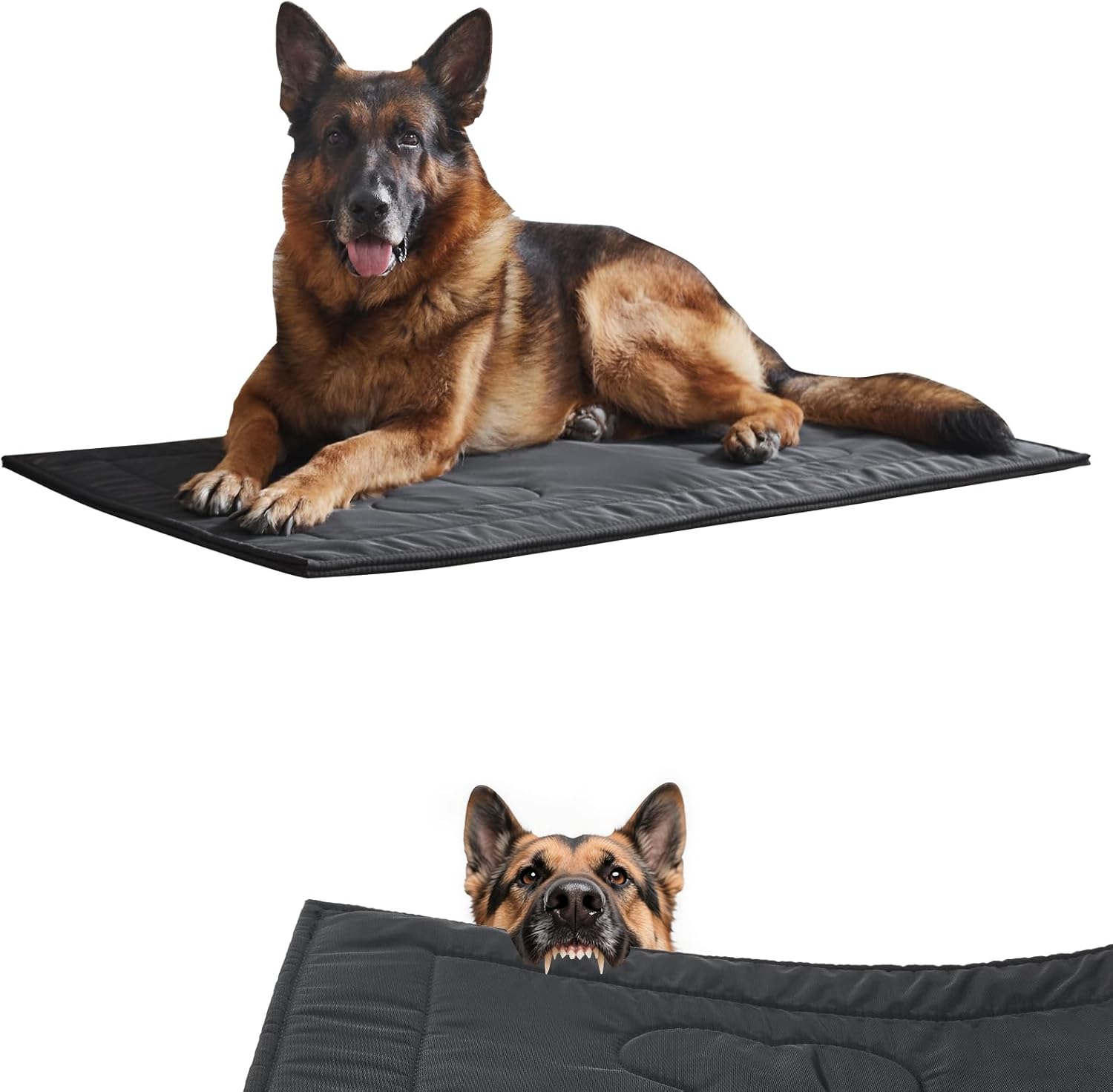 dog bed durable