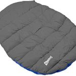 best dog travel gear