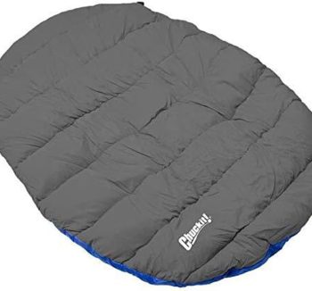 best dog travel gear