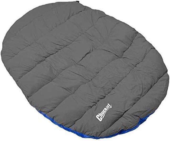 best dog travel gear