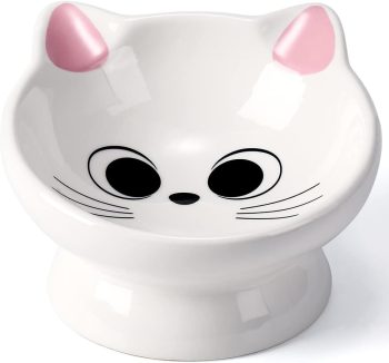 best cat food