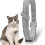 cat flea treatment