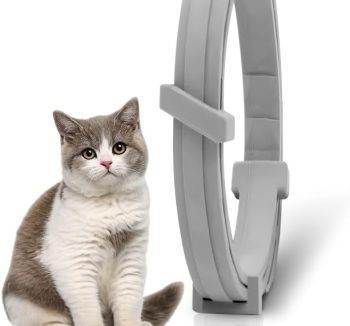 cat flea treatment