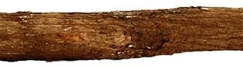 bird perch wood natural