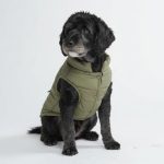 dog jacket waterproof