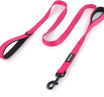 dog leash for large dogs