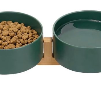 dog food for puppies