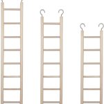 bird ladder perch
