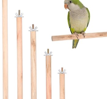 bird perch for cage