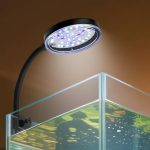 aquarium light energy saving