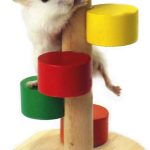 hamster ladder toy