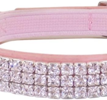 cat collar with bell