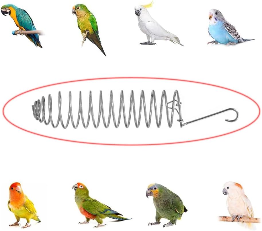 2 Pack Millet Spray Holder Parrot Spray Millet Treat Holder Parakeet Treat Sticks Feeder for Natural Bird Millet Treats Crunch Sticks Bars Bird Chew Toys Carrot Cuttlebone Calcium Block - Happypetzone.online - Image 4