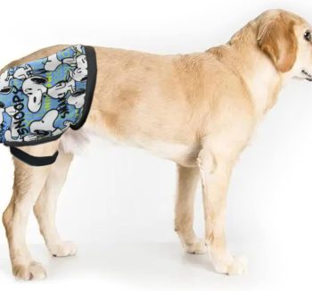 dog joint supplement