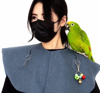 bird health drops