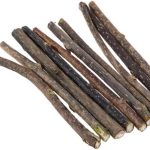 cat dental treats