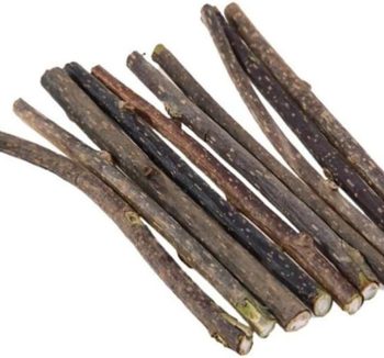 cat dental treats
