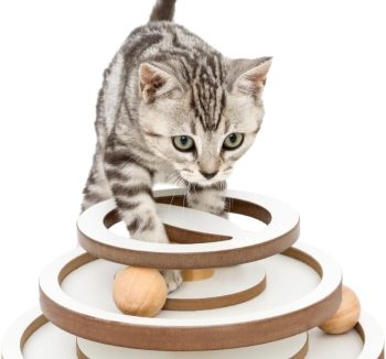cat toys for exercise