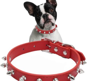 cat collar leather