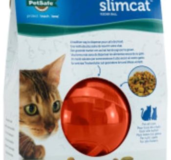 cat food for indoor cats