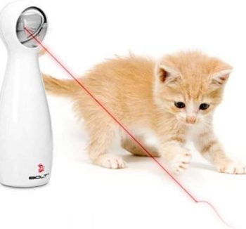 laser cat toy automatic