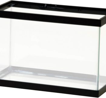 best aquarium tank 2026