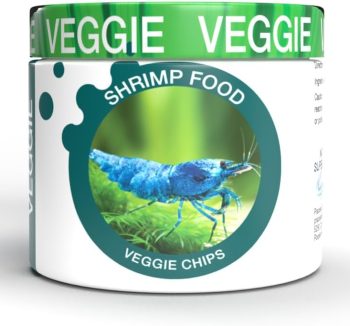 natural fish food