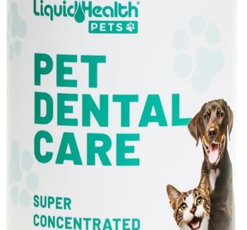 small pet health care
