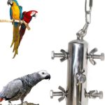 bird health amazon best