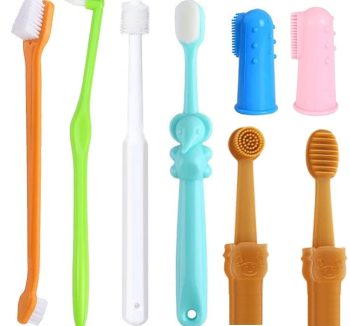 cat dental care kit