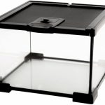gecko terrarium tank
