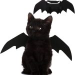 cat accessories cute