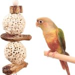 bird toys safe natural
