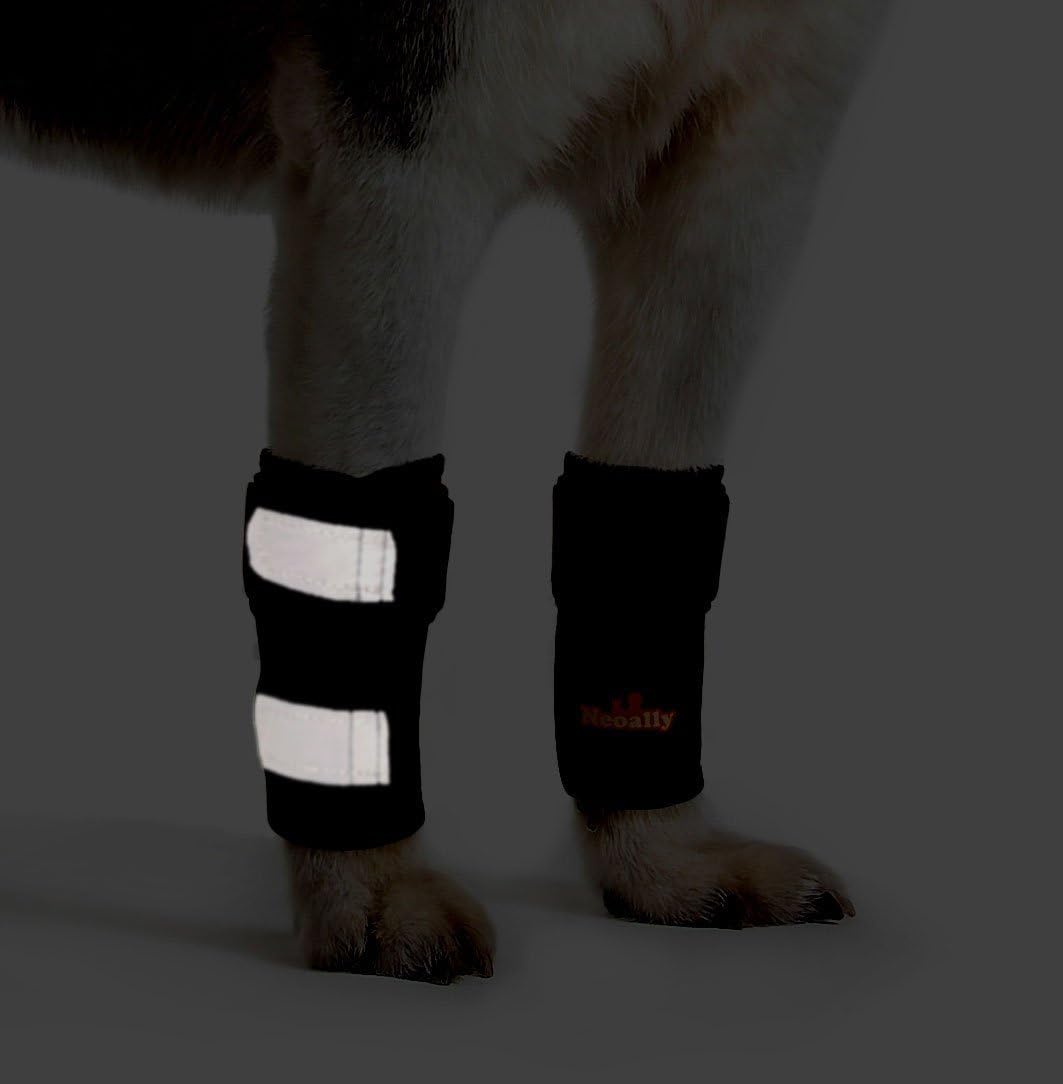NeoAlly Dog Braces Front Leg Carpal Support Canine Wrist Braces with Safety Reflective Straps for Limping, Joint Pain, Lameness, and Loss of Stability from Arthritis (S/M Pair) - Happypetzone.online - Image 2