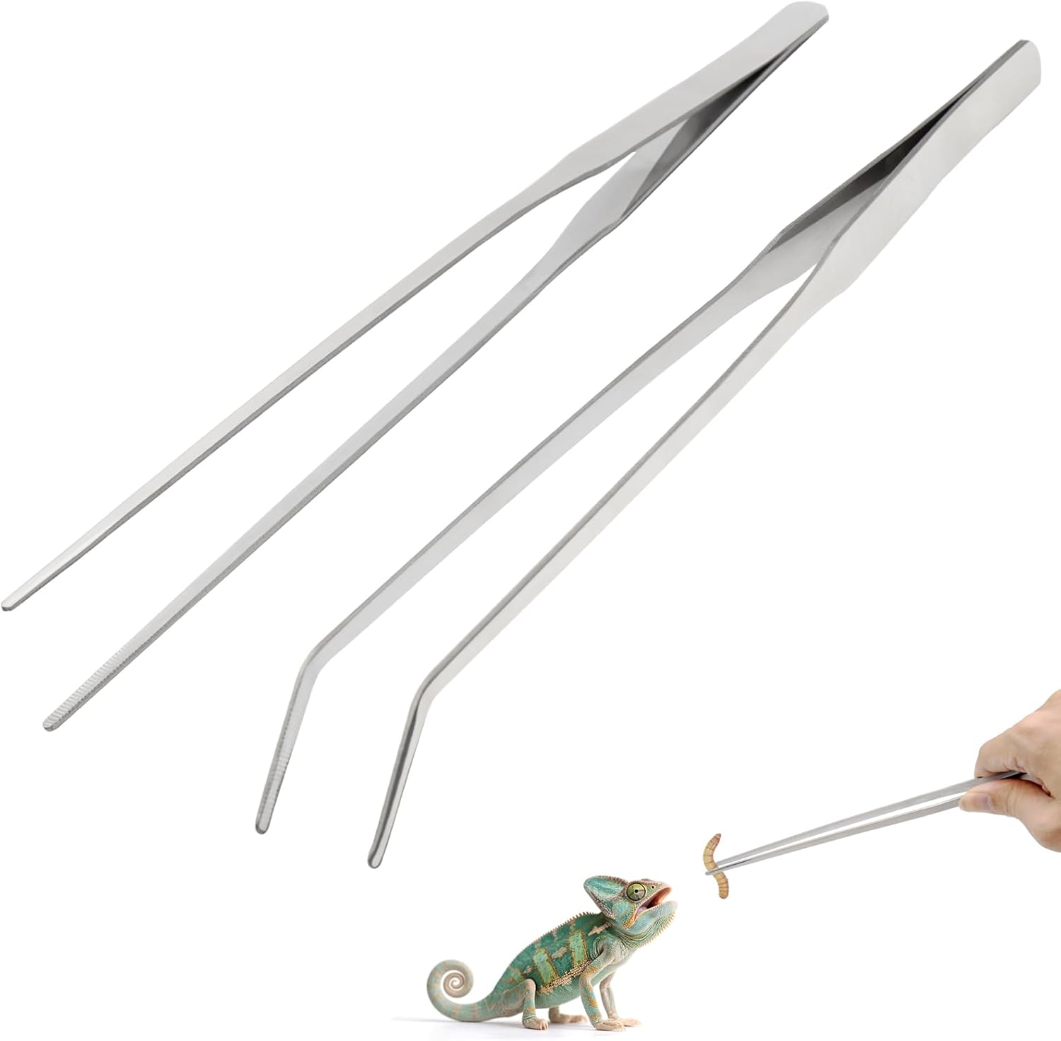 reptile feeding supplies