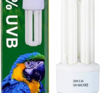 bird health support