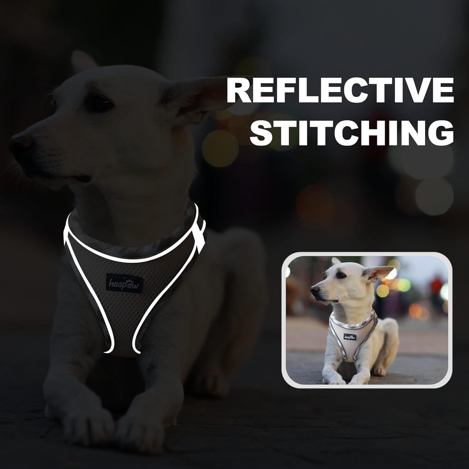 haapaw Dog Harness with Leash Set, No Pull Adjustable Reflective Step-in Puppy Harness with Thickened Padded Vest for Extra-Small/Small Medium Dogs - Happypetzone.online - Image 5