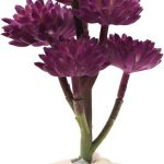 reptile plants artificial
