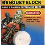 natural fish food