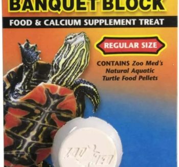 natural fish food