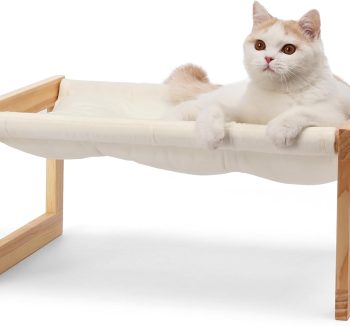 cat furniture modern