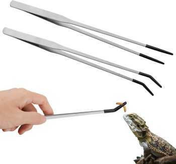 cheap reptile accessories