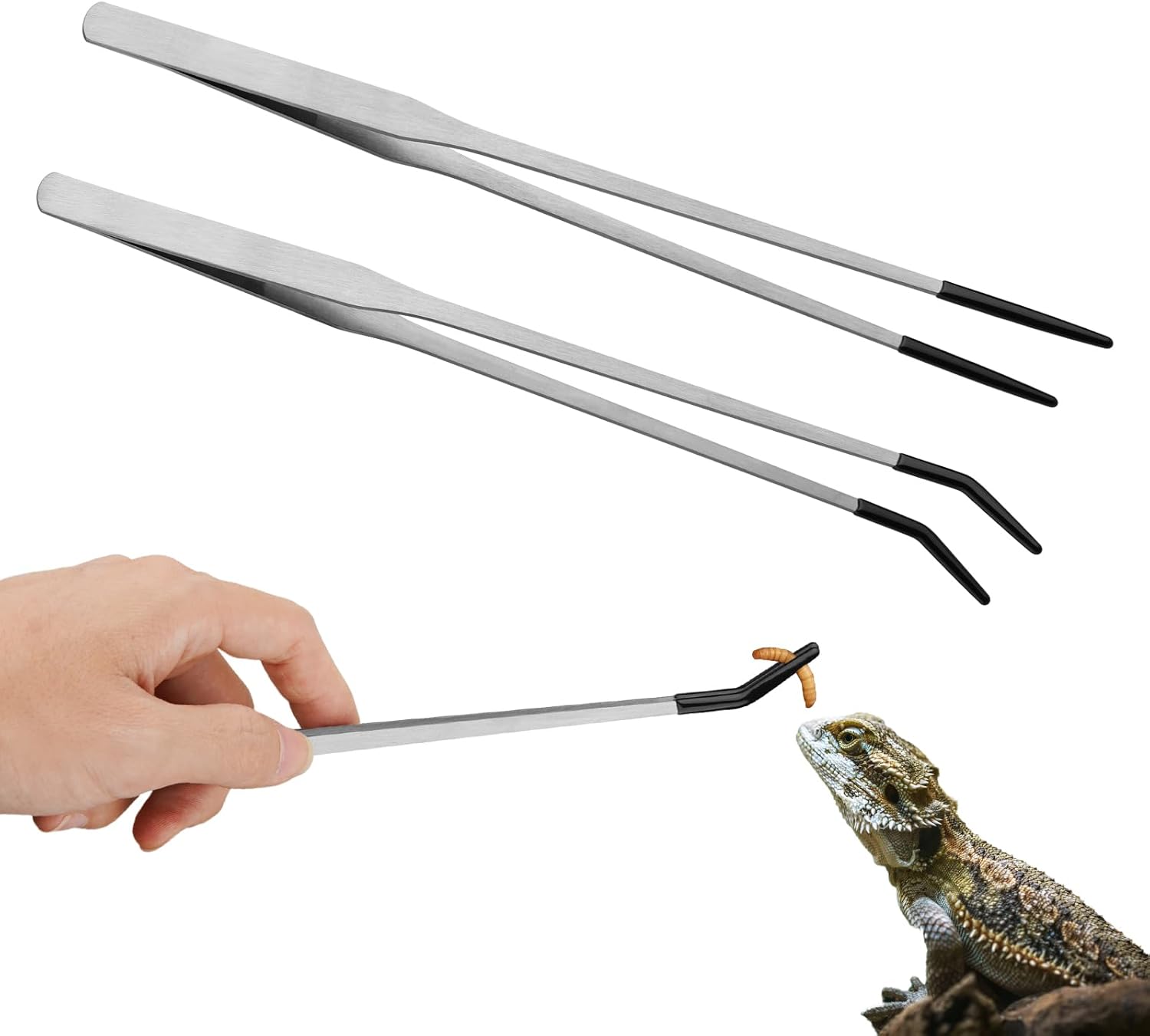 cheap reptile accessories