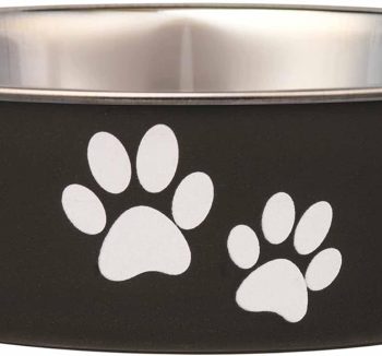 best dog food