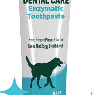 best dog supplements amazon