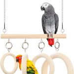 bird hanging swing