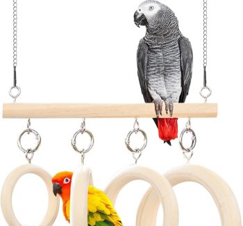 bird hanging swing