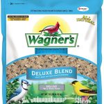 best bird food