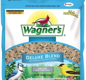 best bird food